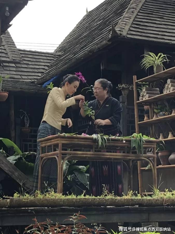 撒冷滴赶紧来！龙江“老铁”请“小金豆”全场免费吃